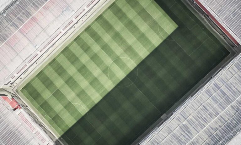 are online reviews reliable bfncreviews