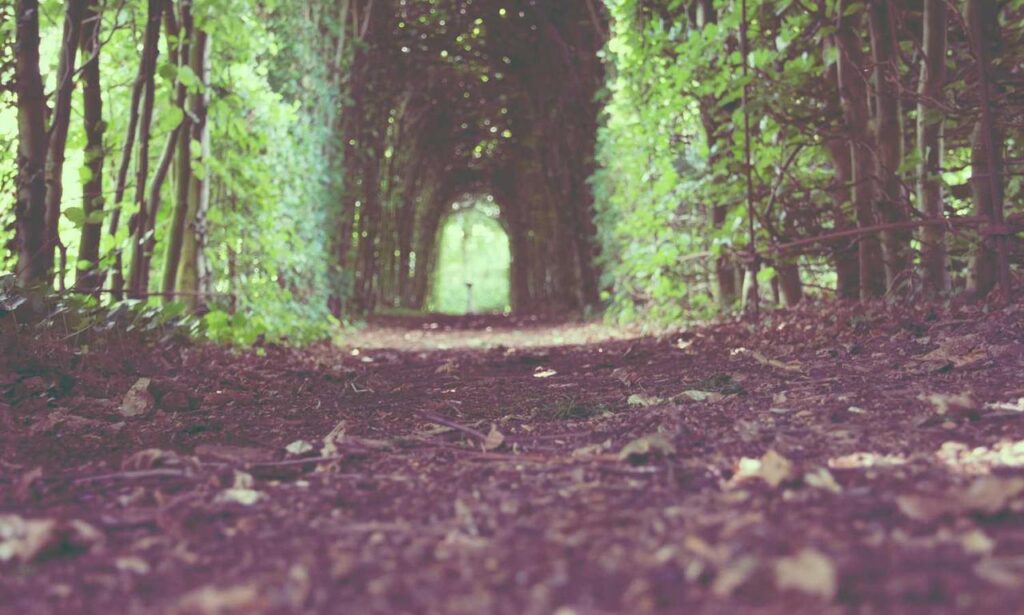 best cheap gaming pc upgrades jogameplayer