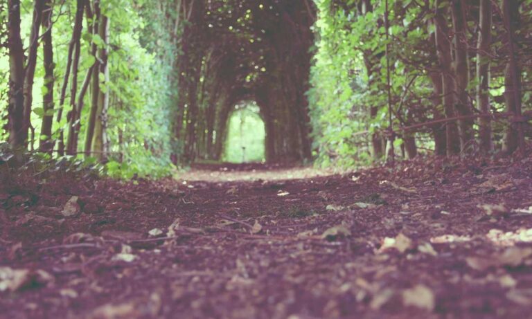 best cheap gaming pc upgrades jogameplayer