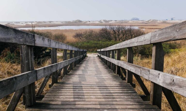 bluchamps gaming tips tgarchirvetech