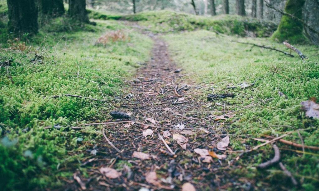 can i play online togamesticky