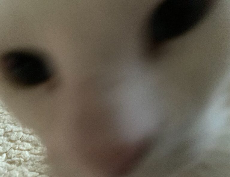 console gaming updates tportulator