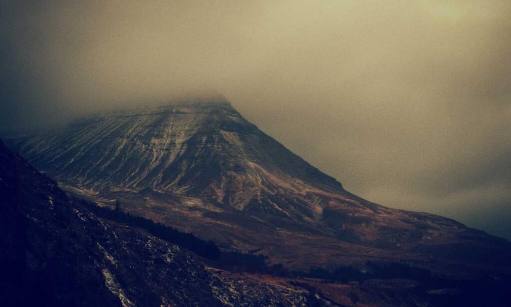 console news tportulator