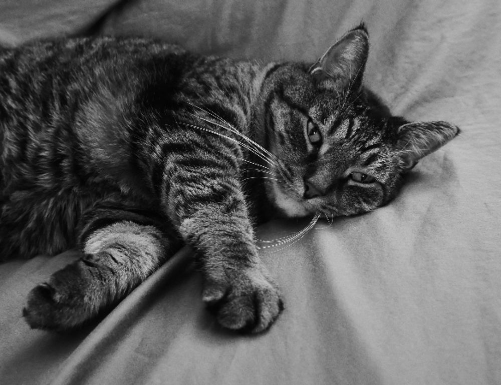 consoles video games togamesticky