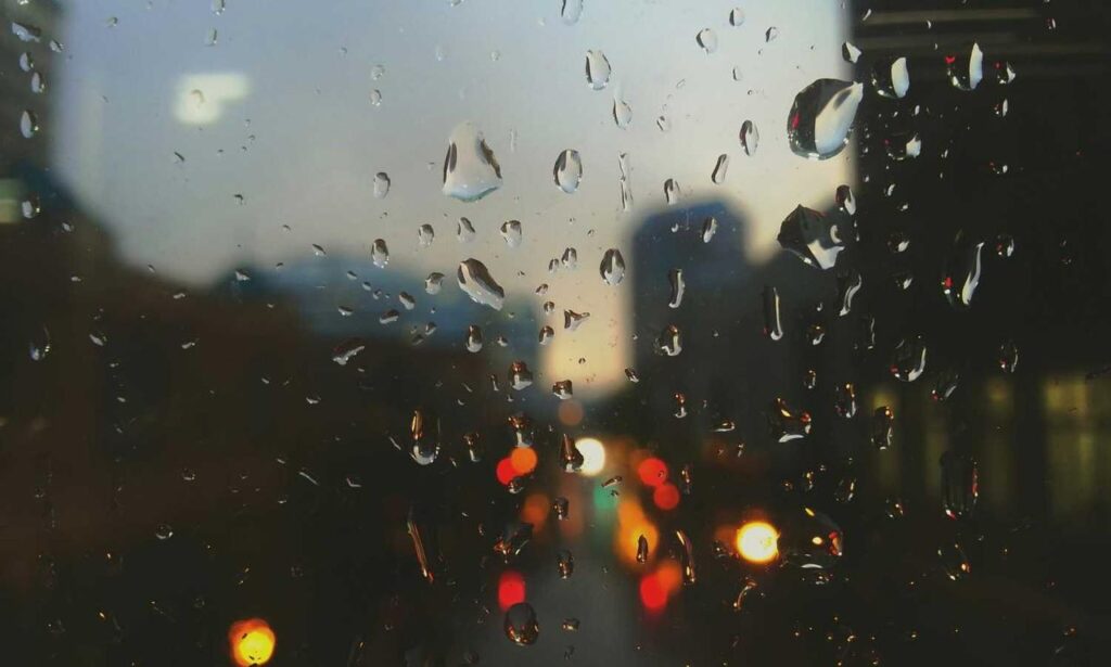 do online reviews matter bfncreviews