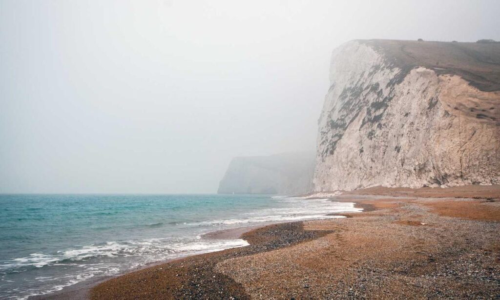 does tgarchiveconsole provide online services does tgarchiveconsole provide online services