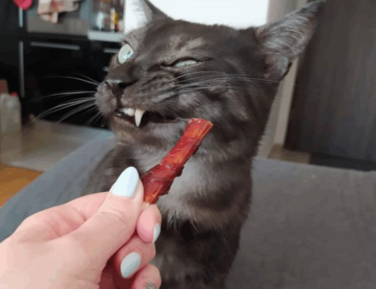 esports vs traditional sports bfncplayer