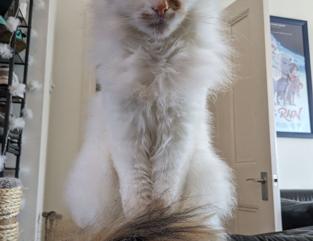 etsjavaapp new version update from etruesports