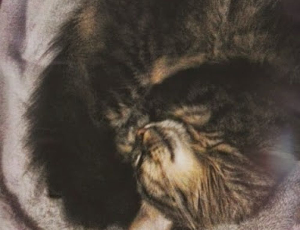 etsjavaapp release date etsjavaapp release date