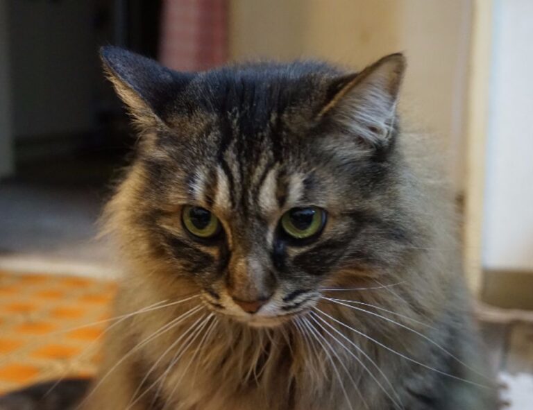 game event under growthgameline