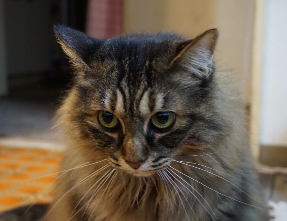 game event under growthgameline