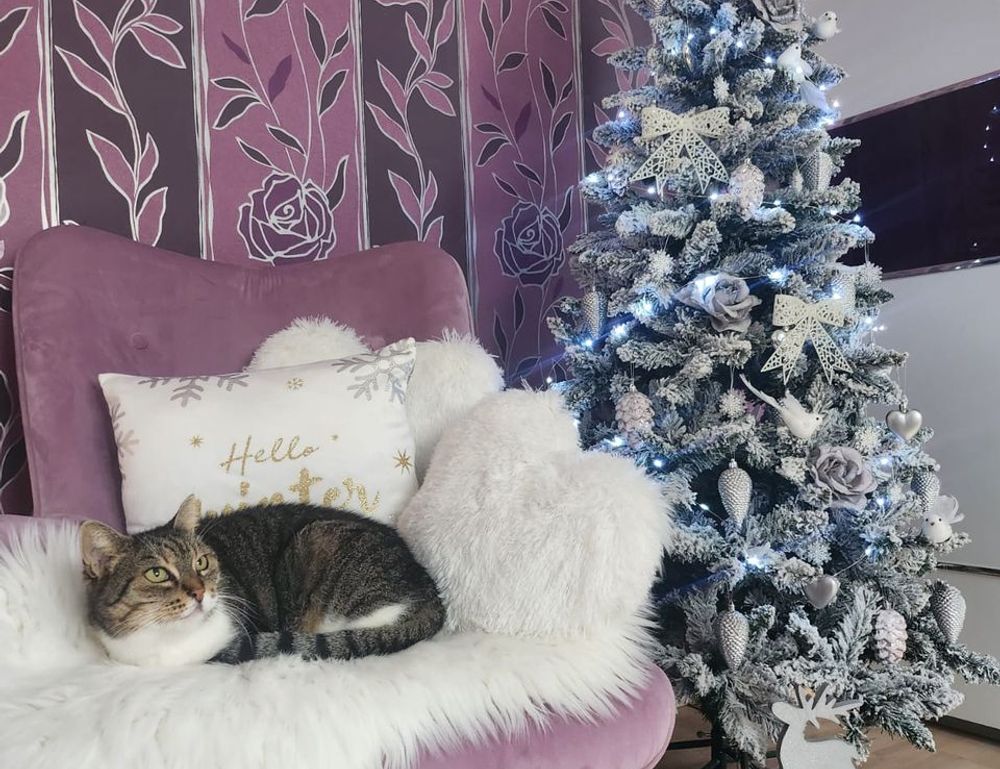 game guide tportgametek