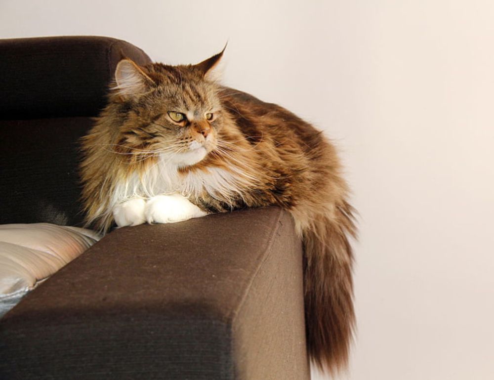 games tgarchirvetech games tgarchirvetech