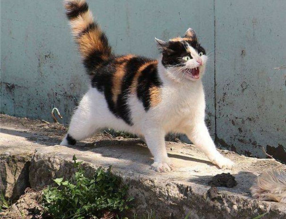 gaming hacks togamesticky gaming hacks togamesticky