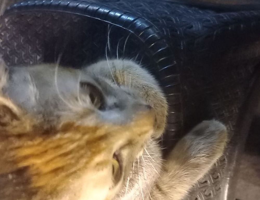 gaming news thehakegeeks