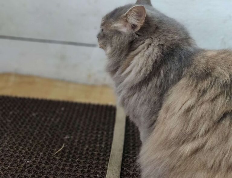 gaming pc hacks togamesticky