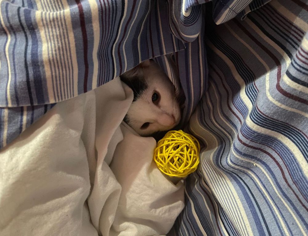 gaming tips tgarchirvetech gaming tips tgarchirvetech