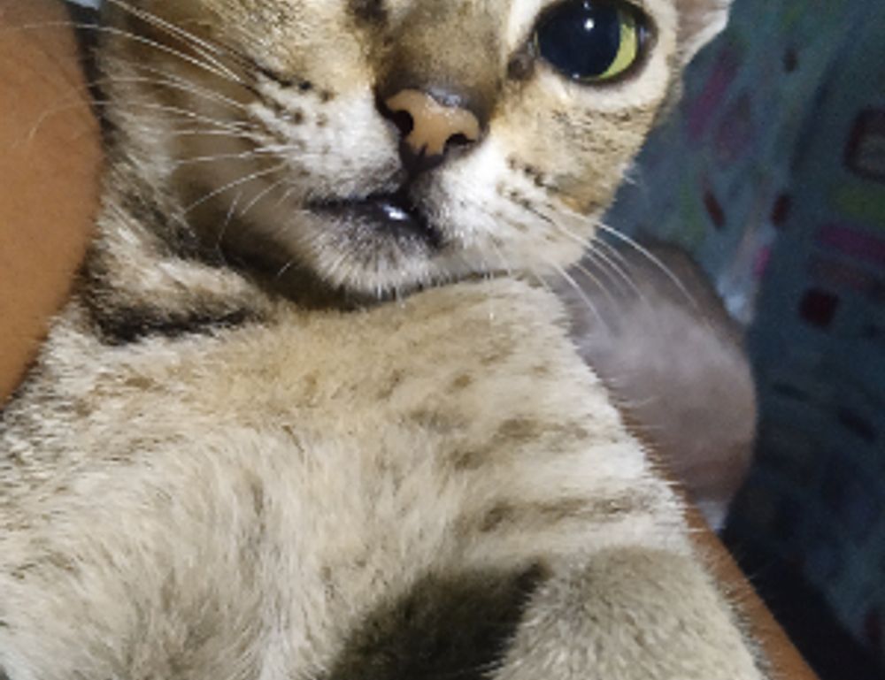 gaming trends gmrrmulator gaming trends gmrrmulator