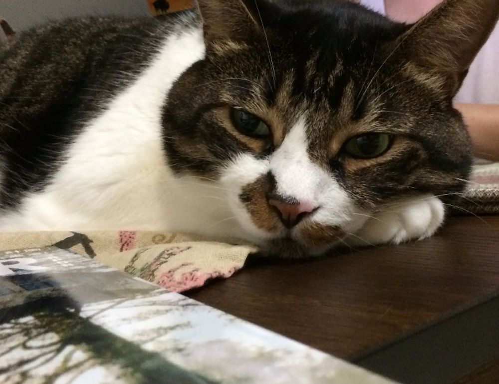 gaming tutorials thehakegeeks