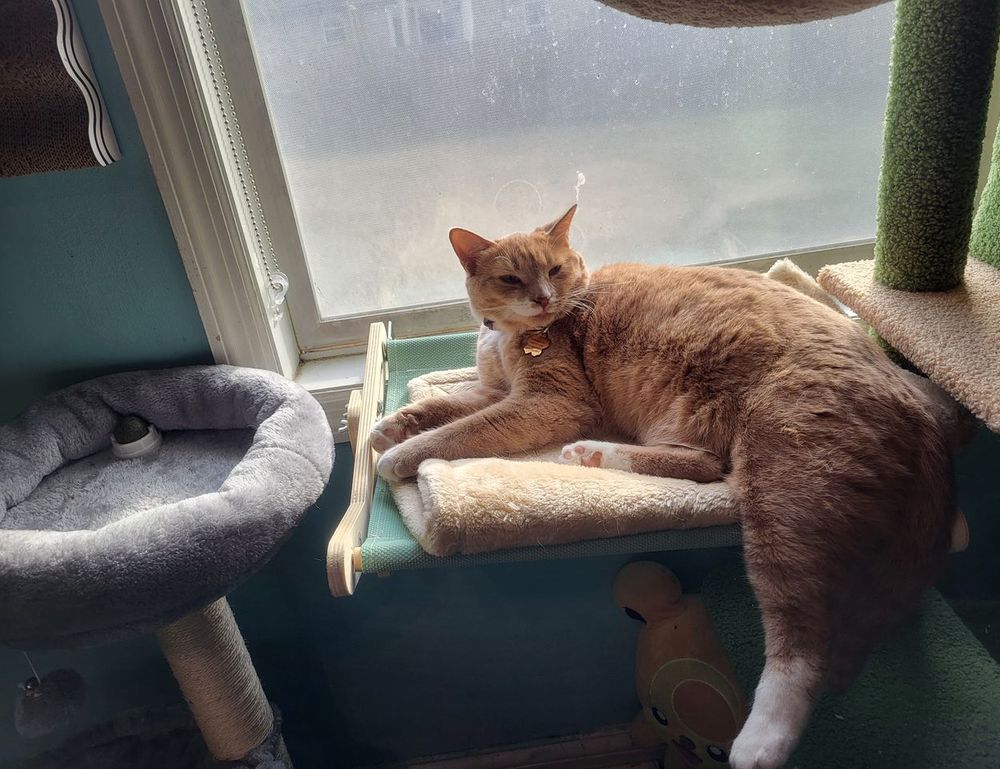 gaming updates befitgametek