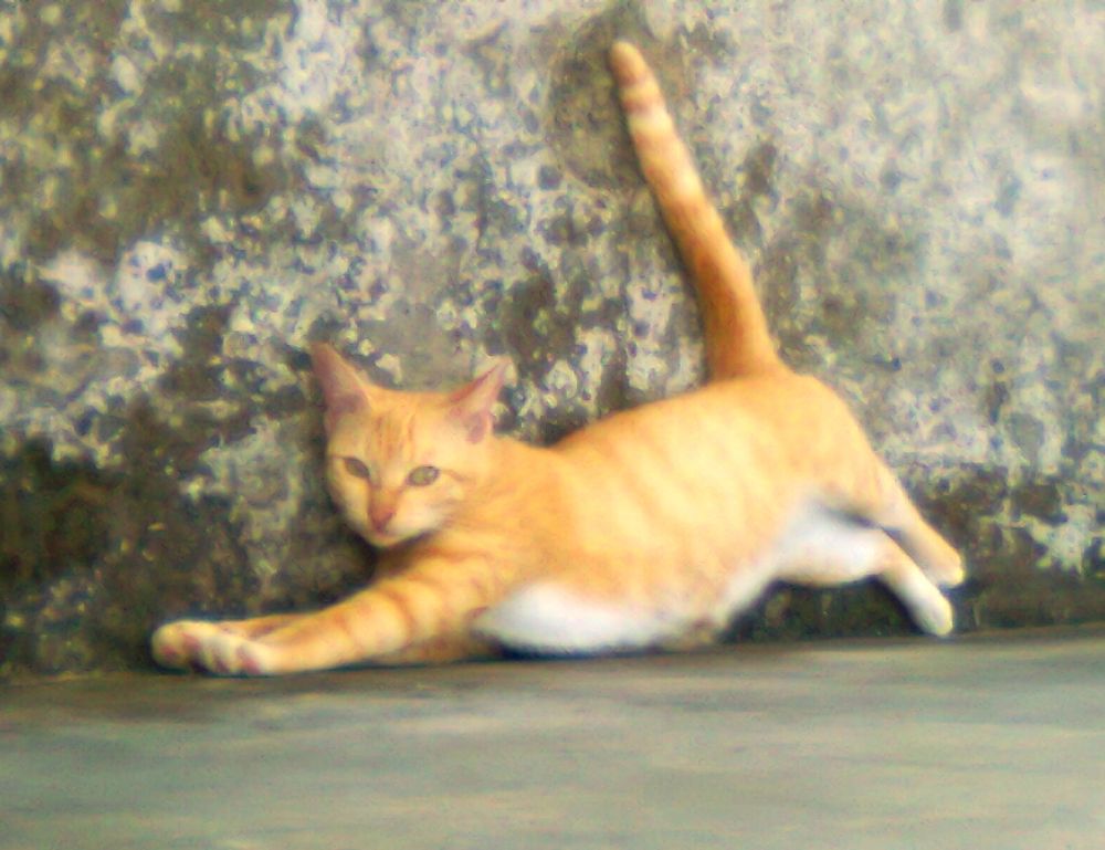 gaming updates scookiegear gaming updates scookiegear