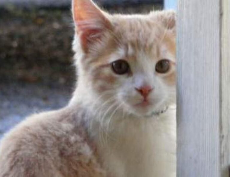 gamrawresports latest gaming trands from gamerawr