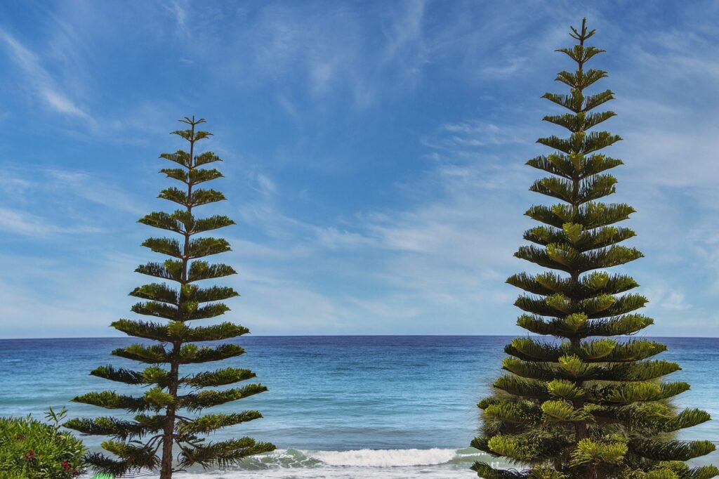 gmrrmulator gmrrmulator