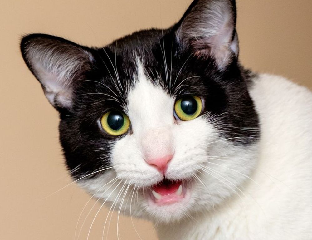 gmrrmulator newest updates by gamerawr gmrrmulator newest updates by gamerawr