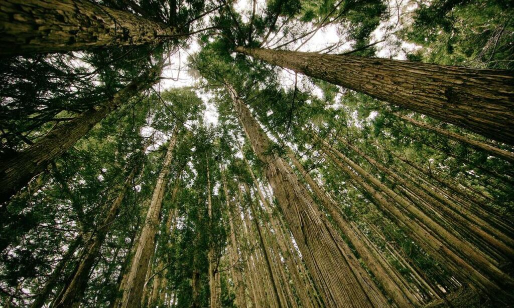 how are hacks made togamesticky