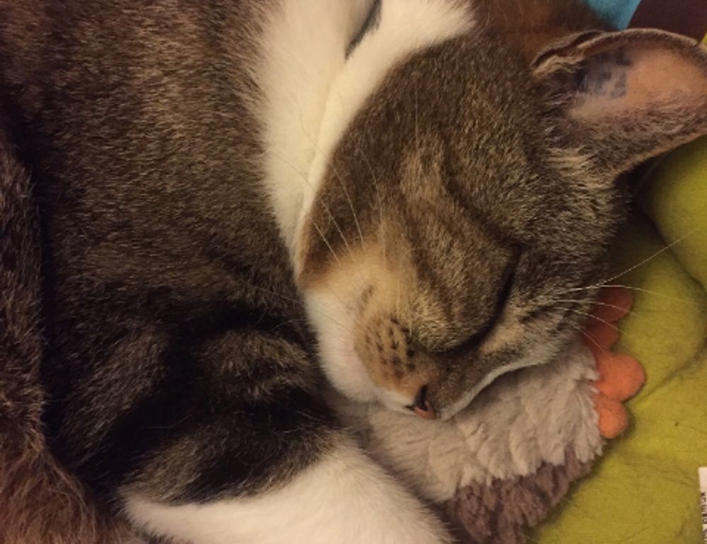 how are hacks made togamesticky