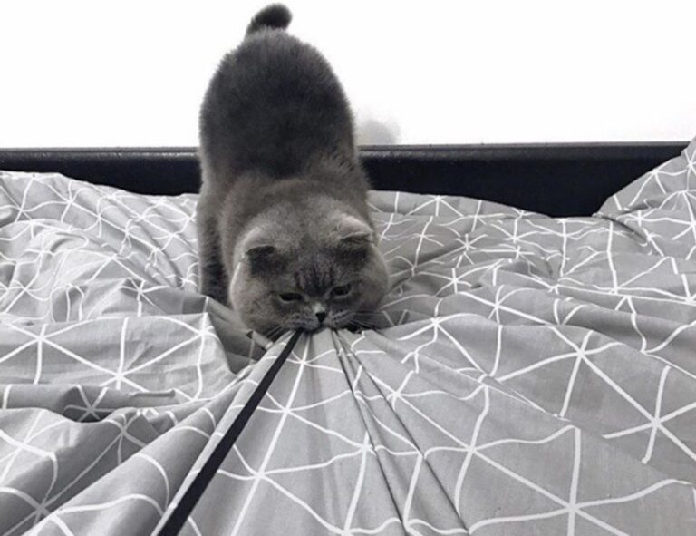 how gaming can be beneficial gamrawresports