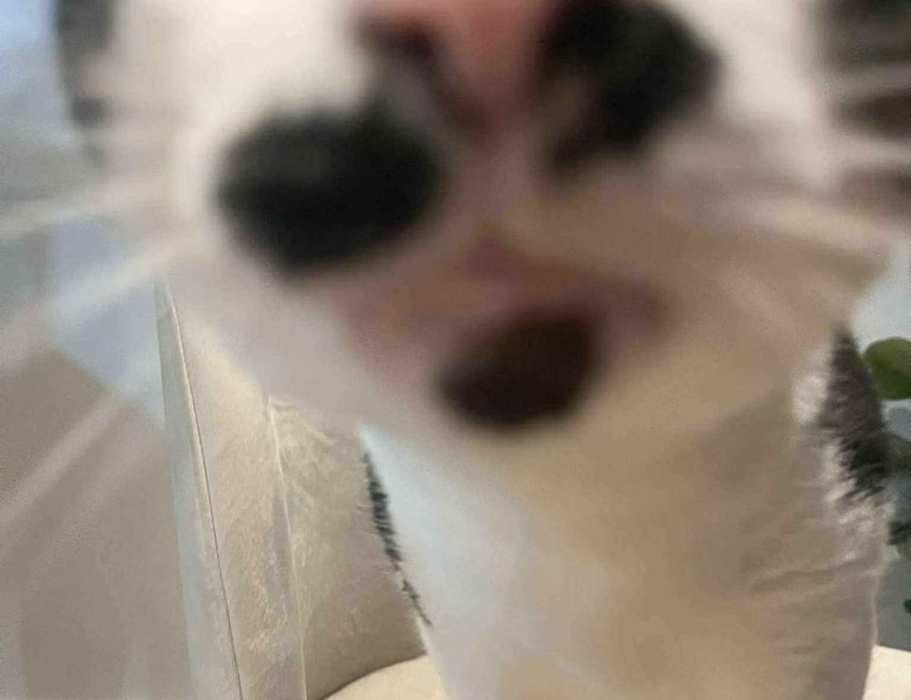 how important are online reviews bfncreviews how important are online reviews bfncreviews