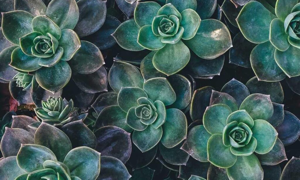 how to download games togamesticky