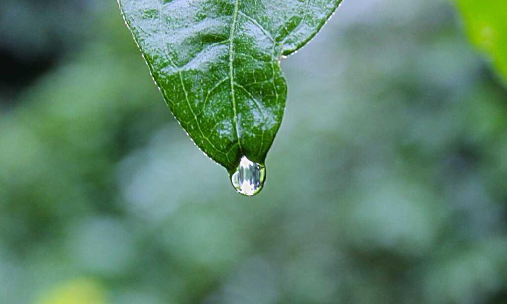 how to manage online reviews bfncreviews how to manage online reviews bfncreviews