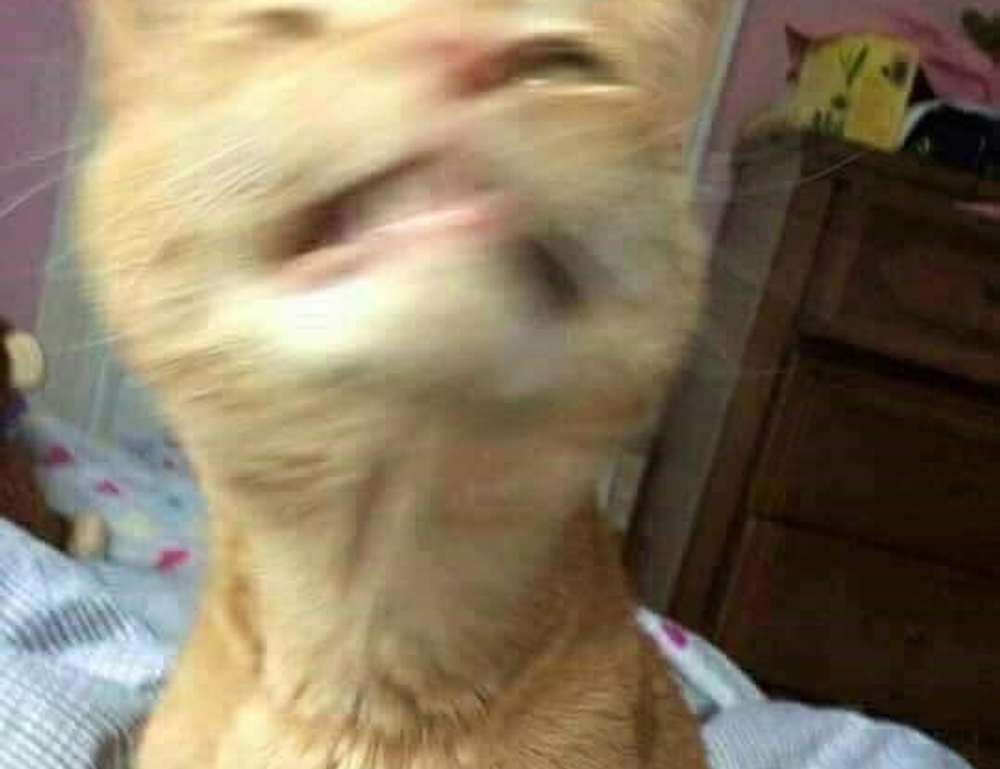 how to set up tgarchiveconsole