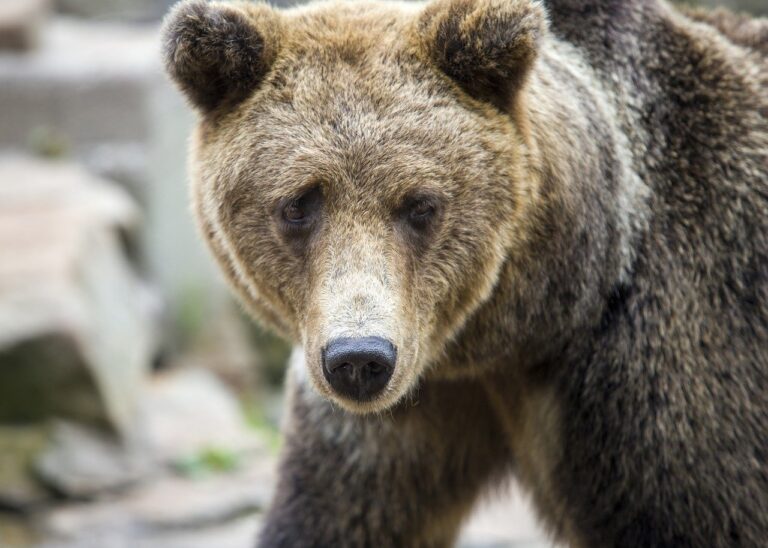 is marshock200 the best pc game 2023