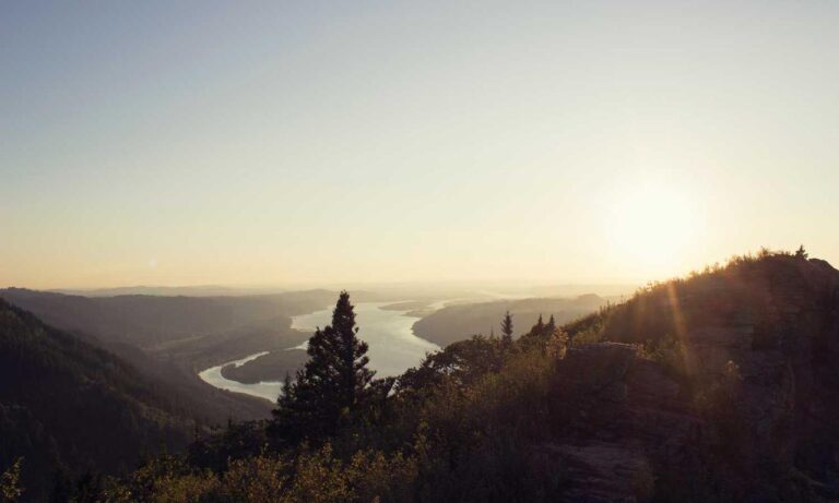 is popguroll popular now