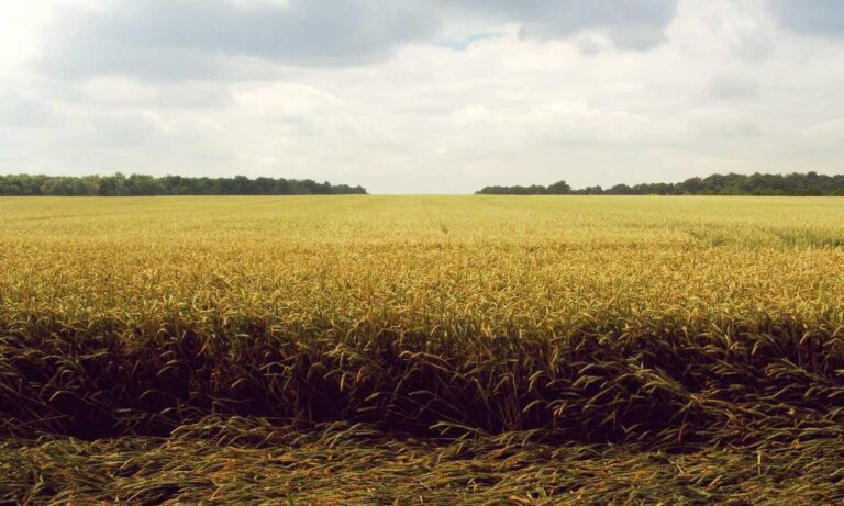 jogameplayer gaming system reviews by javaobjects