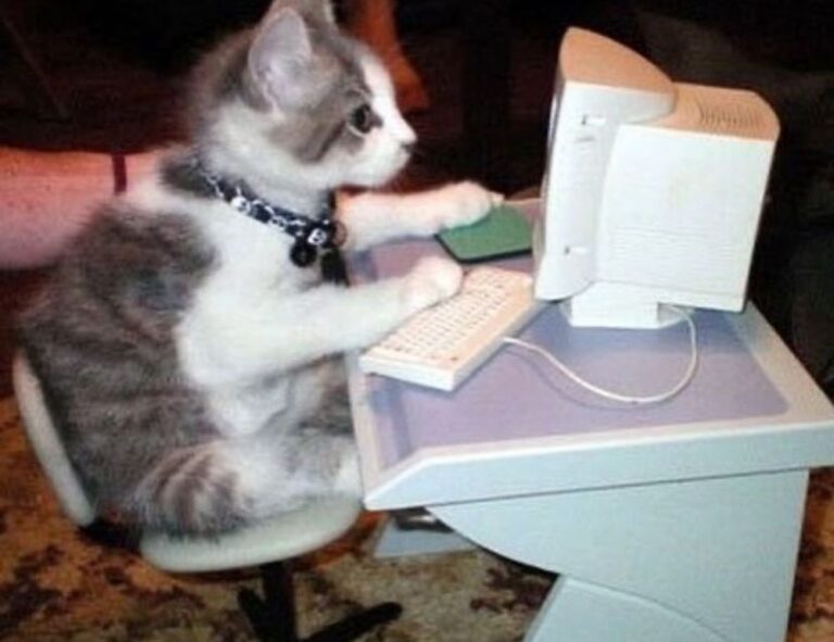 jogamesole special settings by javaobjects