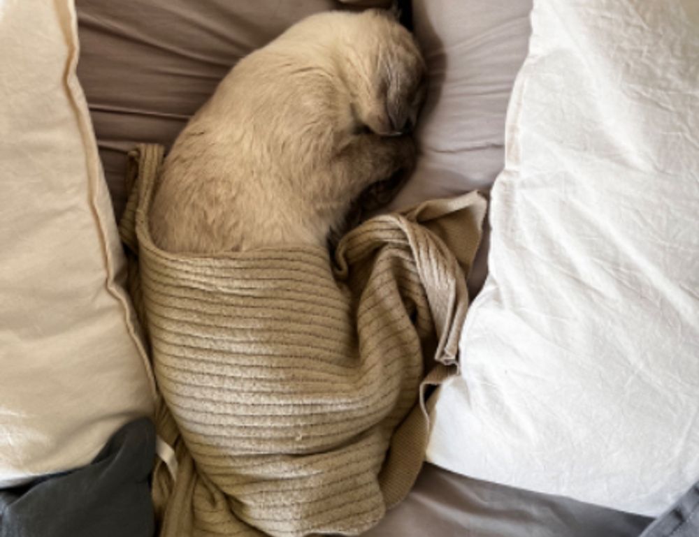 latest gaming news thehakegeeks latest gaming news thehakegeeks