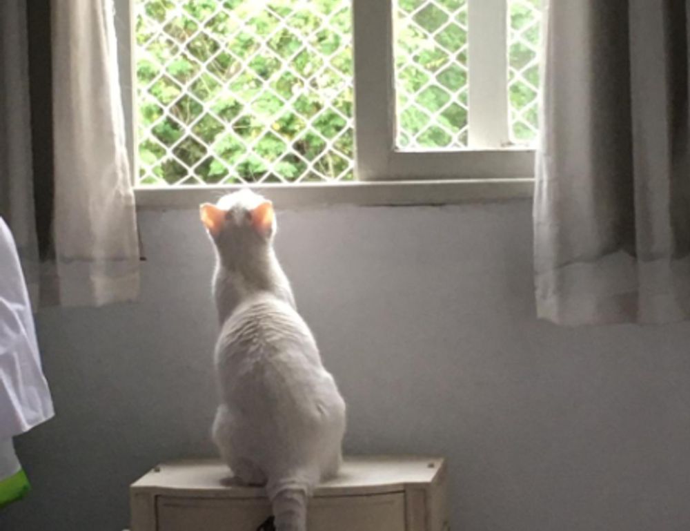 latest gamiong event tportvent