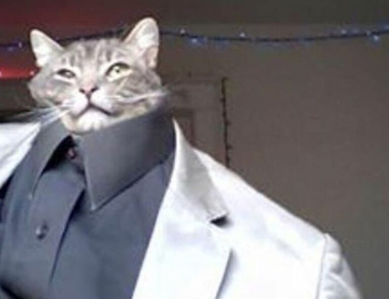 multiplayer tips togamesticky