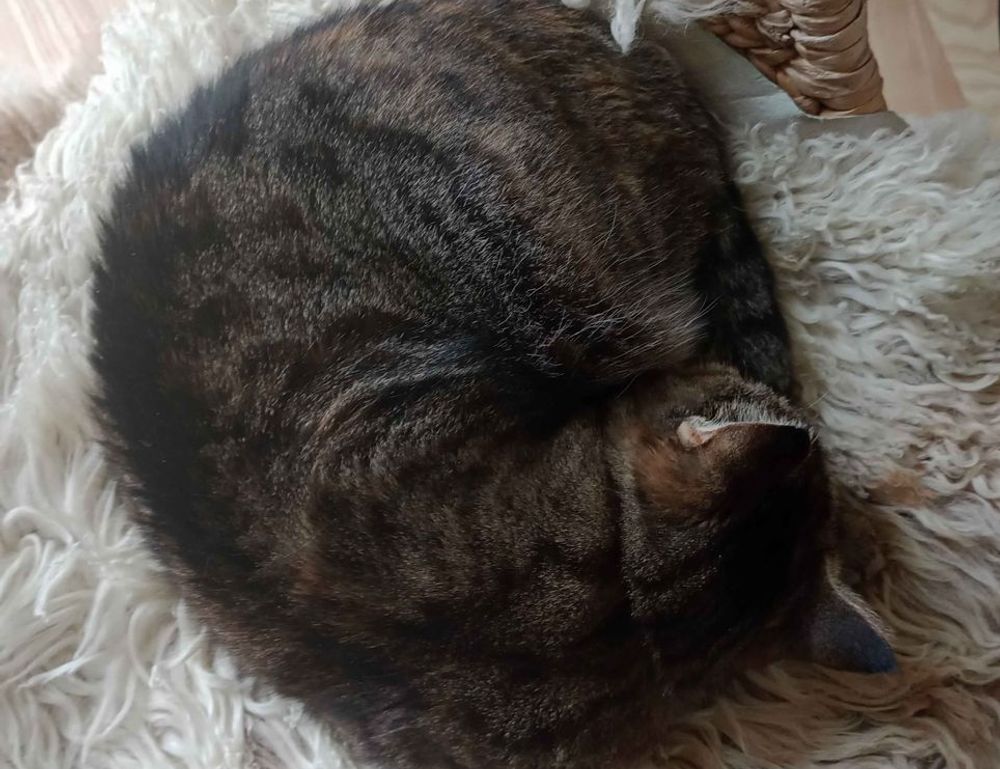 new gamestick togamesticky