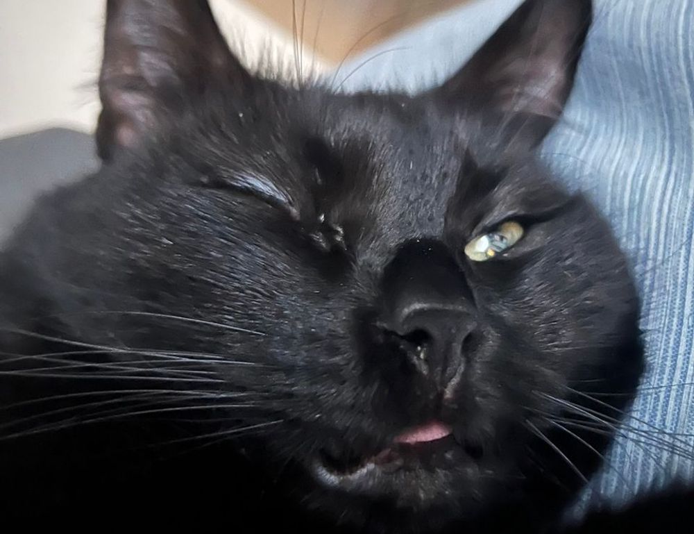 newest gaming trends gmrrmulator