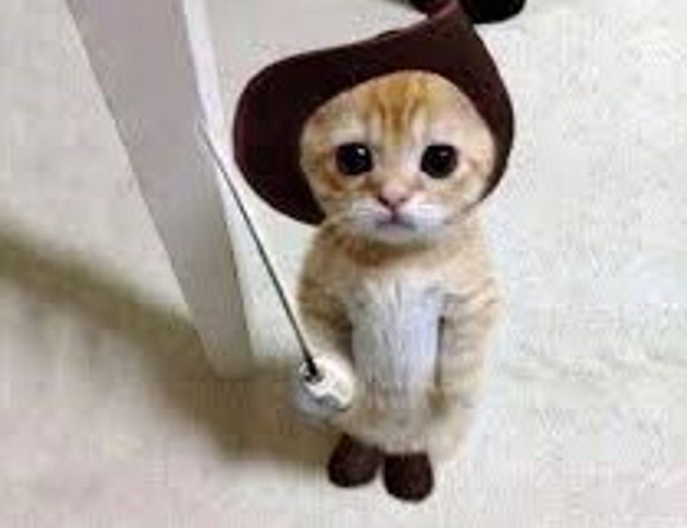 online reviews bfncreviews