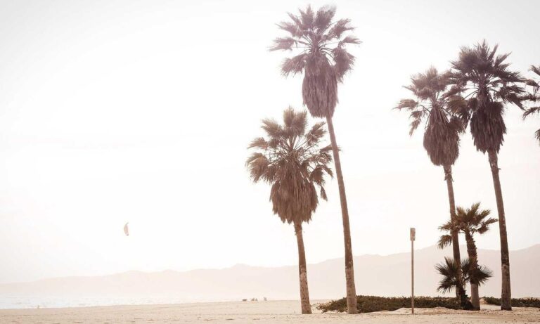 pblemulator upgrades