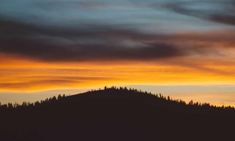 pblgamevent online gaming event