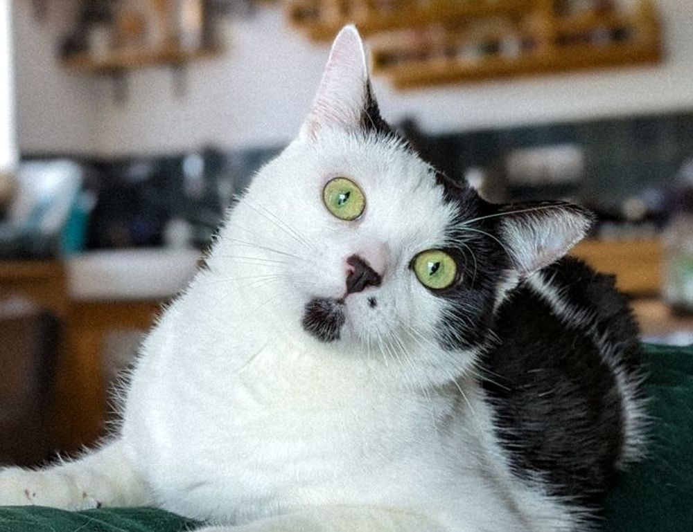 pblgamevent pblgamevent