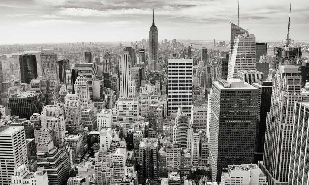 player guide tportesports