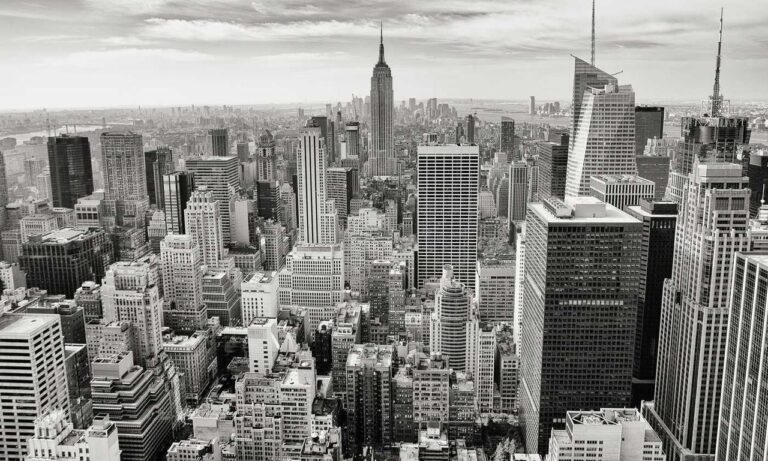 player guide tportesports